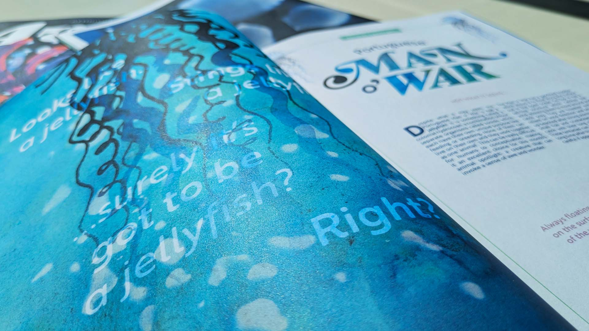 Close-up of Man o' War article