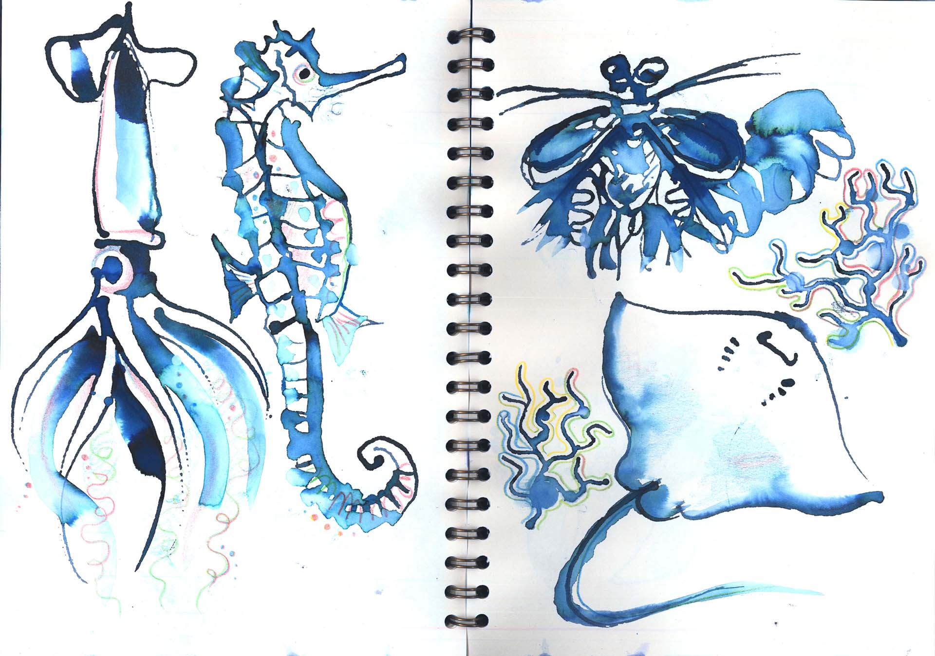 Sketchbook pages