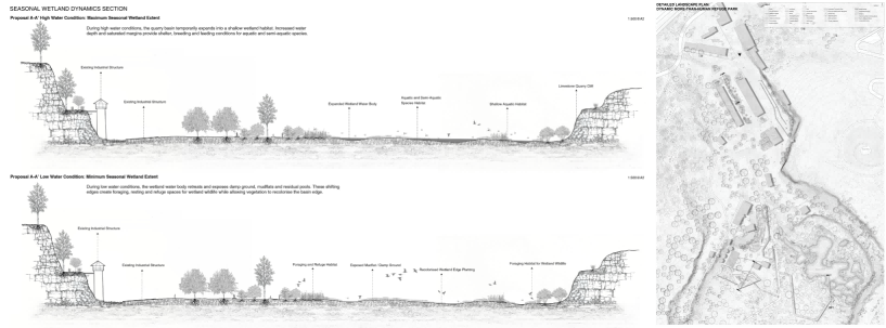 From Wetland Strategy to Temporal Habitat Spaces