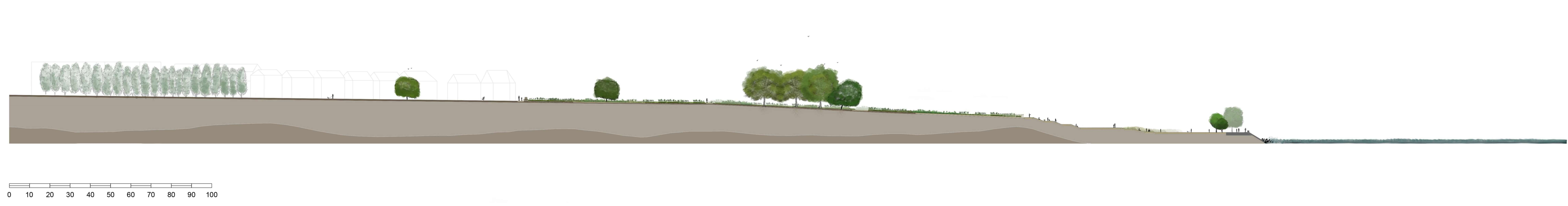 Site section - 3 years