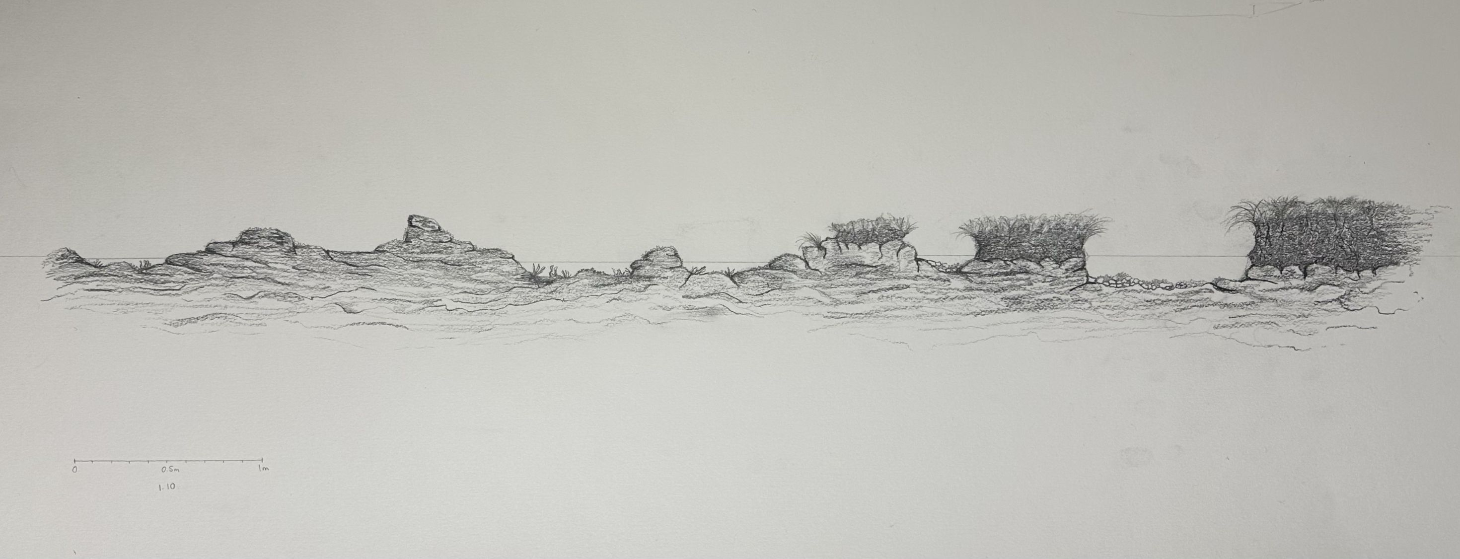 Hand-drawn section of saltmarsh to rock