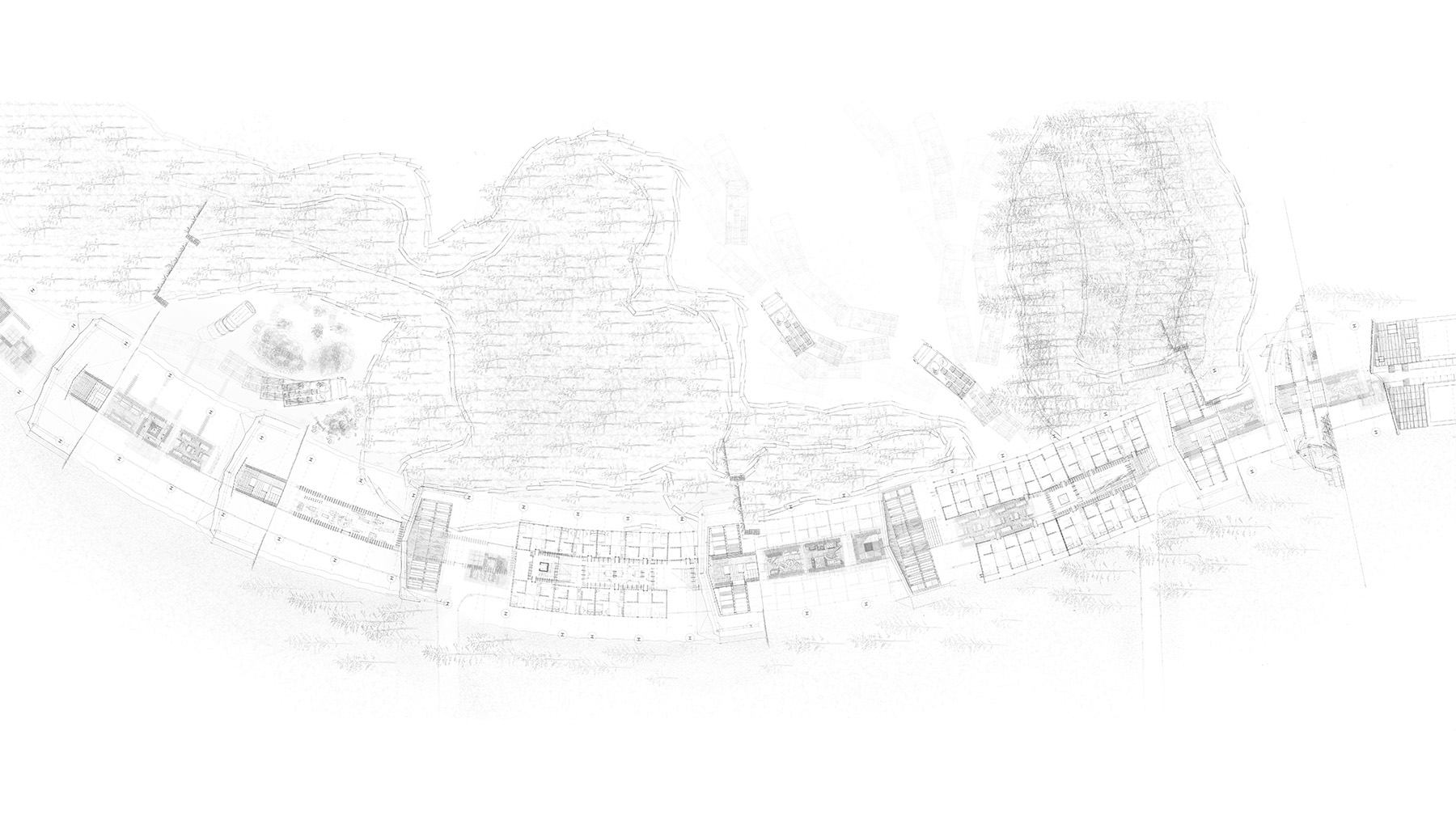 Proposal transforming over phytoremediation time, 1:200