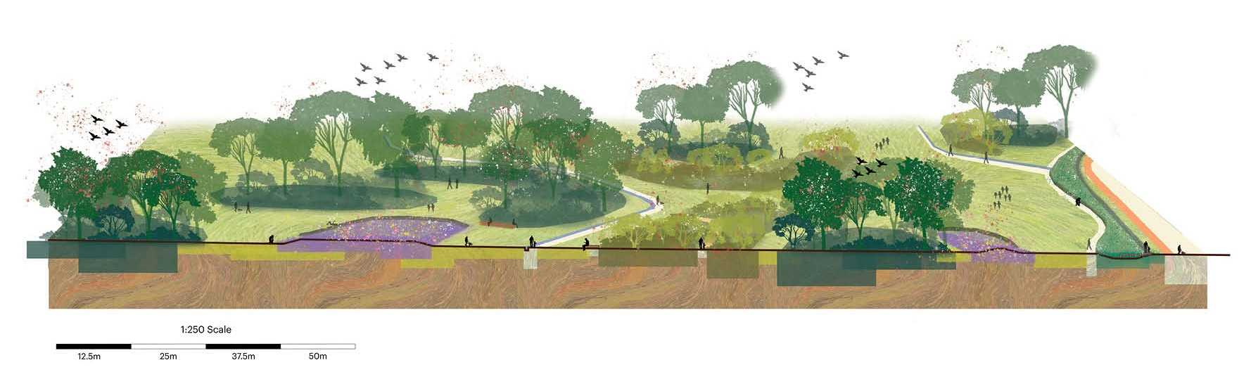 Long section of 'The Living Museum'