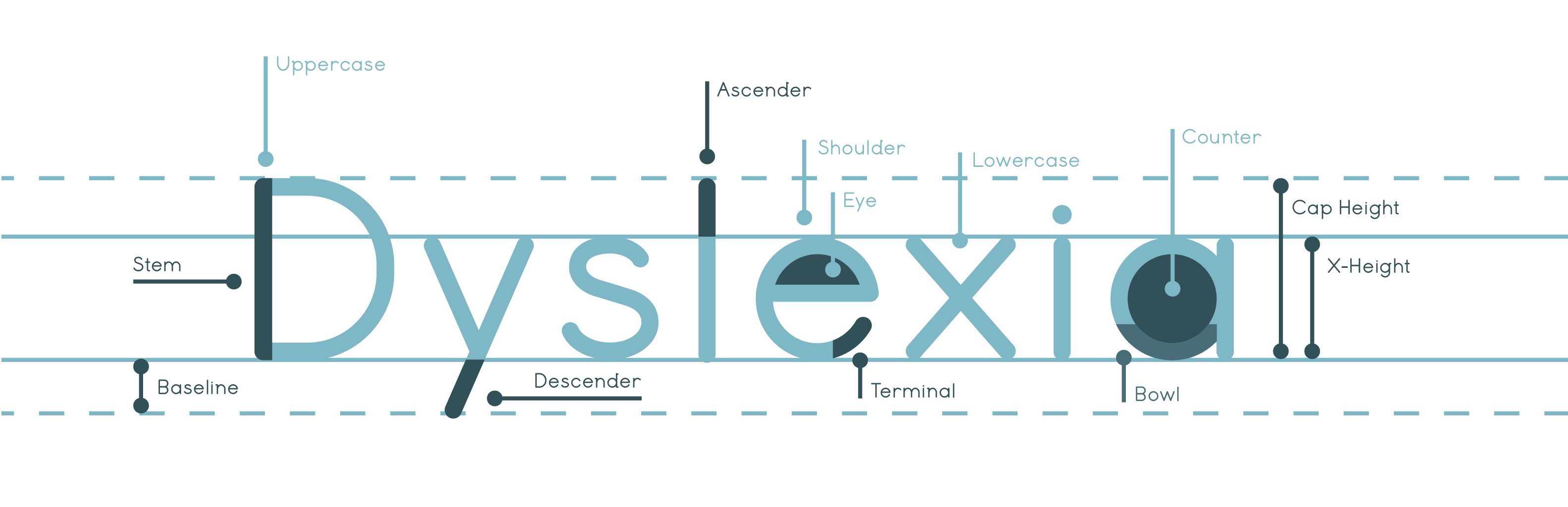 Type Anatomy