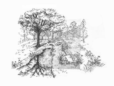 Reflective woodland clearing --- Still Water, Silent Traces