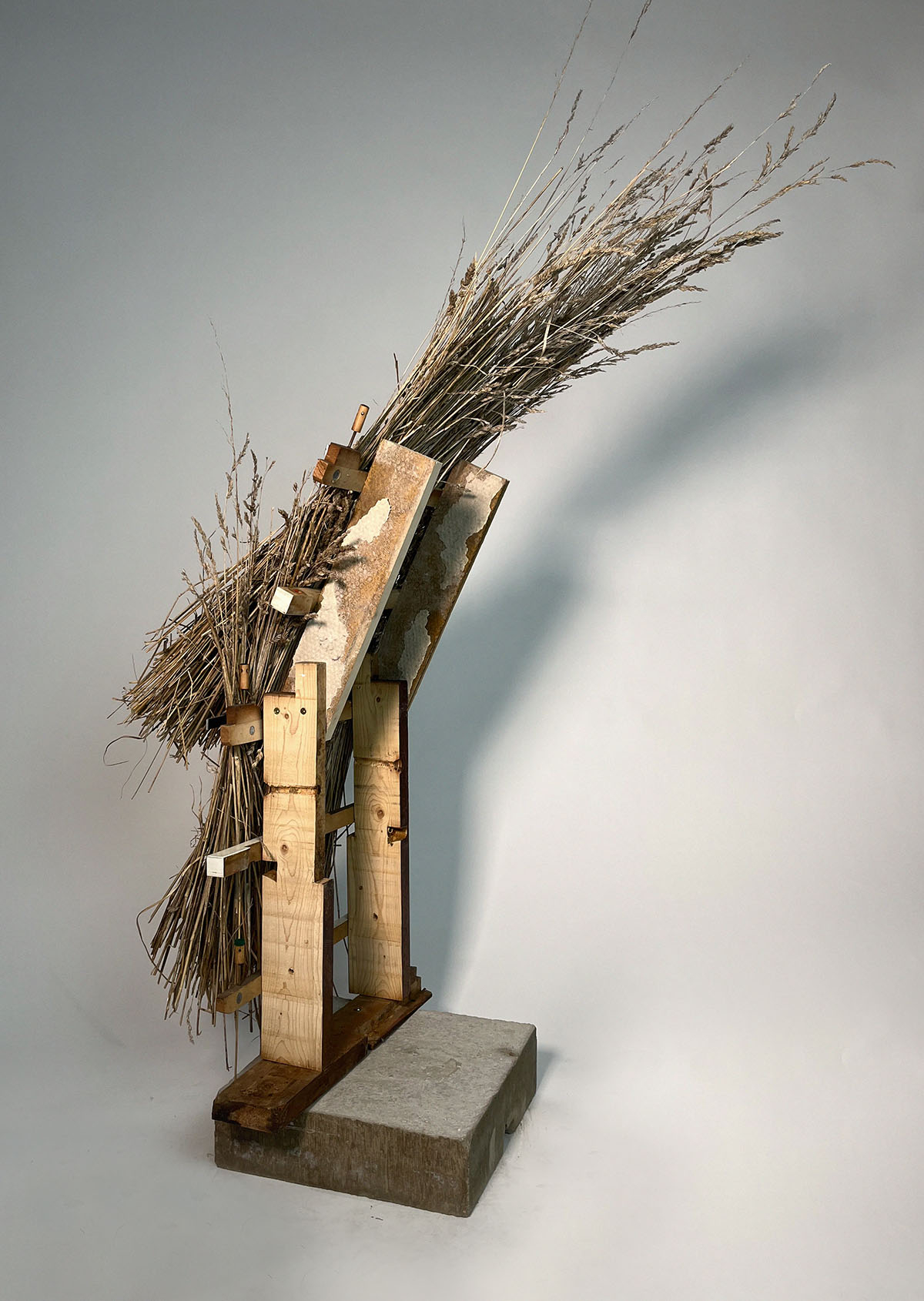 recycled canal edge - 1:1 thatched pod model